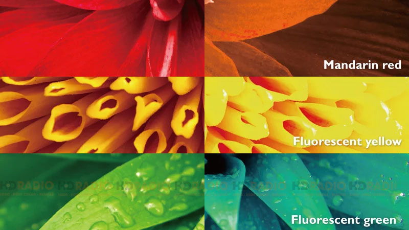 Bánh xe màu RGBRGB tốc độ 6x