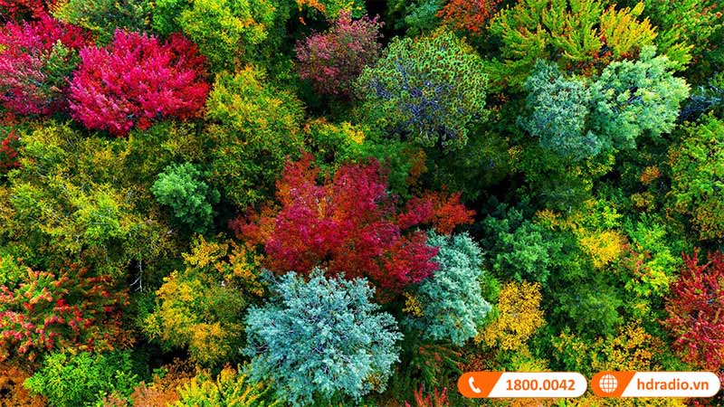 Máy chiếu BenQ GP500