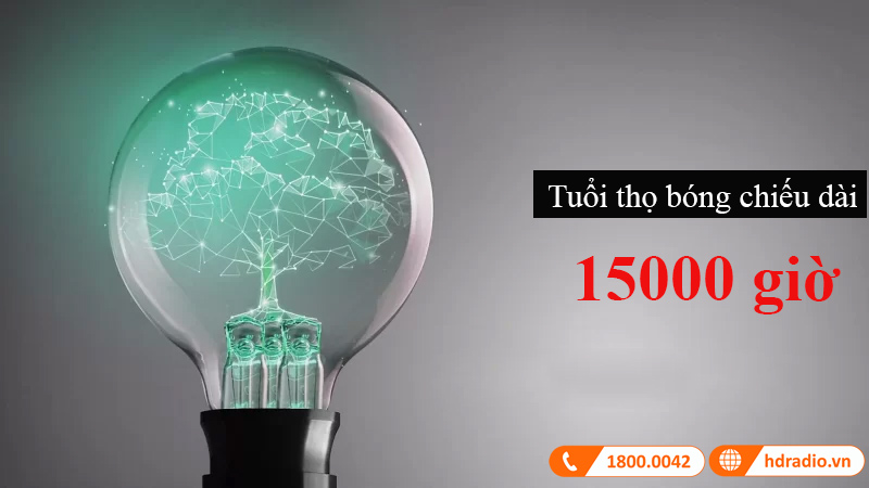 May chieu BenQ MS550