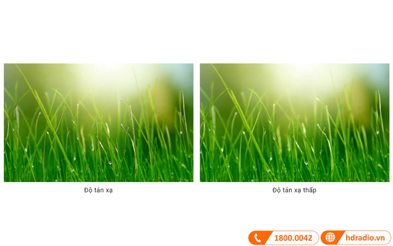 hinh anh qua thau kinh benq w2000