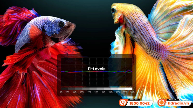 Nhiệt độ màu Máy chiếu 4K BenQ W2710i