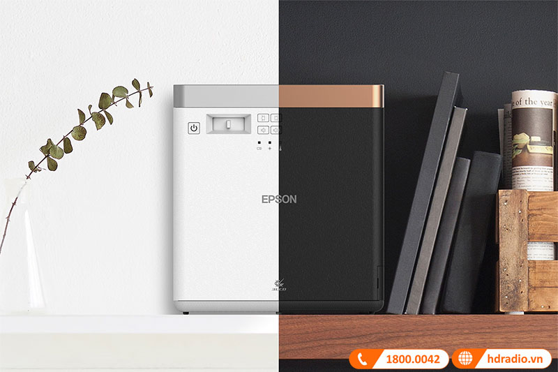 2 phiên bản màu sắc