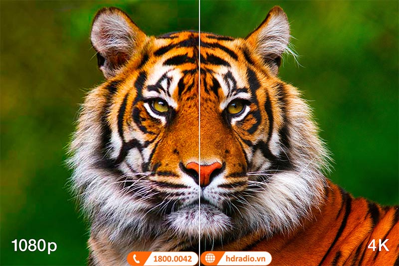 Máy chiếu 4K Epson EH-LS12000B