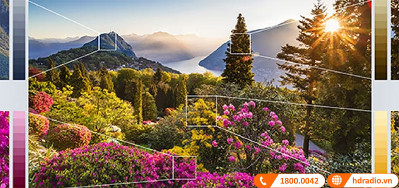 Máy chiếu 4K Sony VPL-XW6000