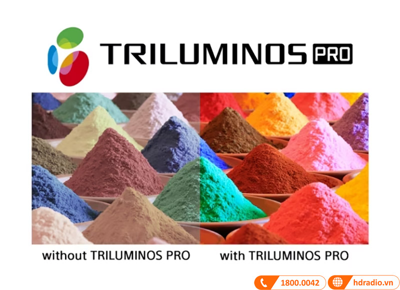 Máy chiếu 4K Sony VPL-XW6000