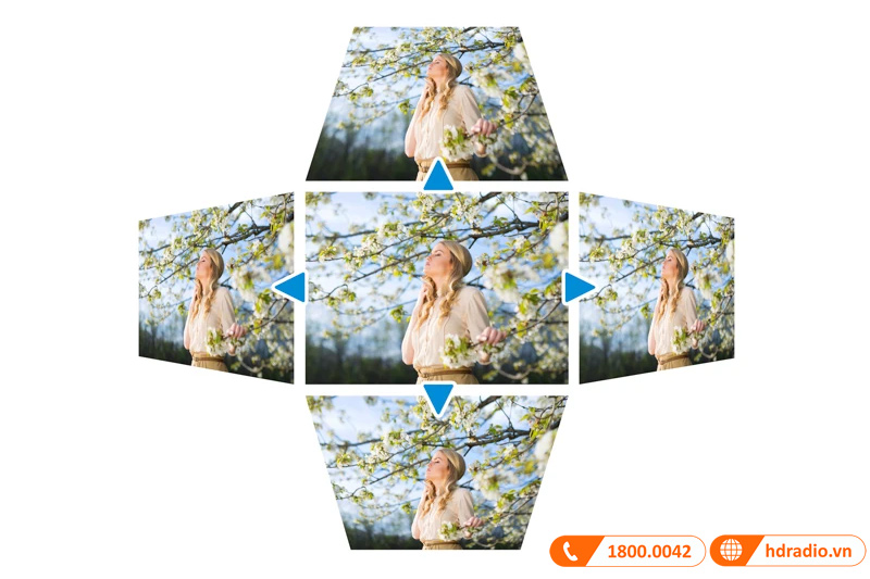 Máy chiếu Viewsonic CPB600X