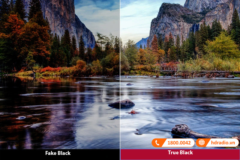 Máy chiếu LS800WU