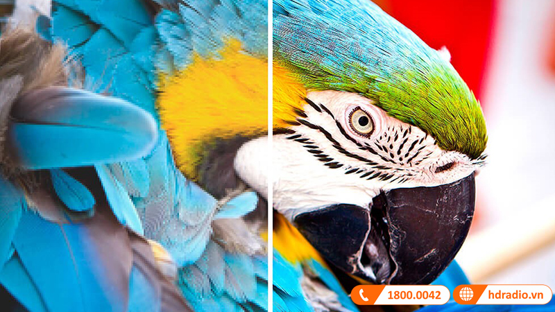 Máy chiếu ViewSonic PA503S