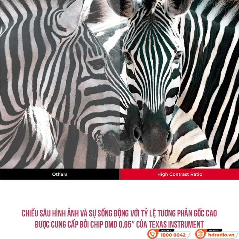 Máy Chiếu Viewsonic PX704HD, 4000 ANSI Lumens, Full HD (1920x1080)-7