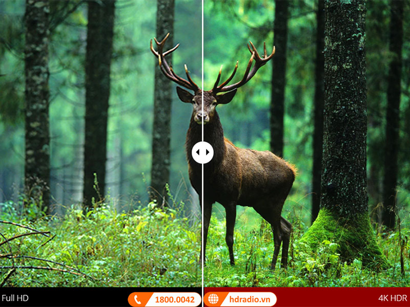 Hình ảnh chân thực với 4K HDR