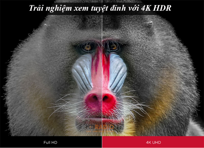 Máy chiếu ViewSonic X2000B-4K