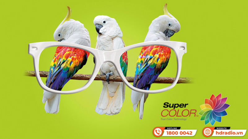 Máy chiếu Viewsonic M1S