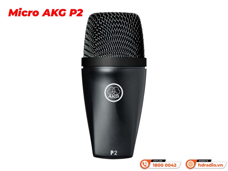 Micro AKG P2