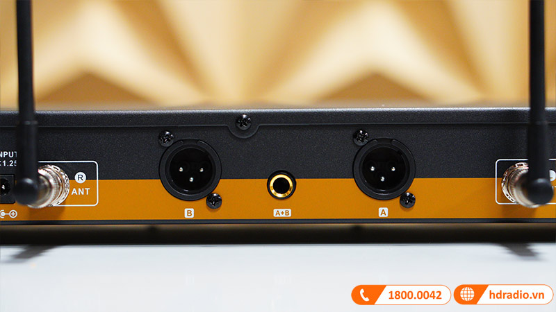 Micro Không Dây Baiervires BS970 sau