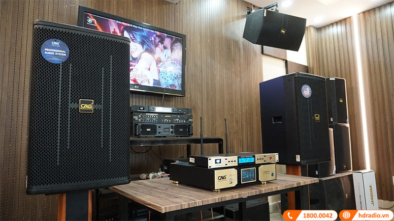 Micro không dây CAVS V3