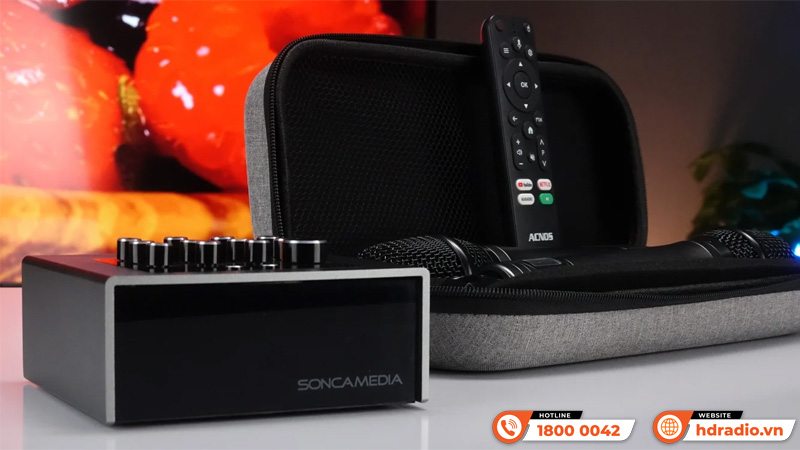 Micro kèm Vang ACNOS MiNet30U PRO