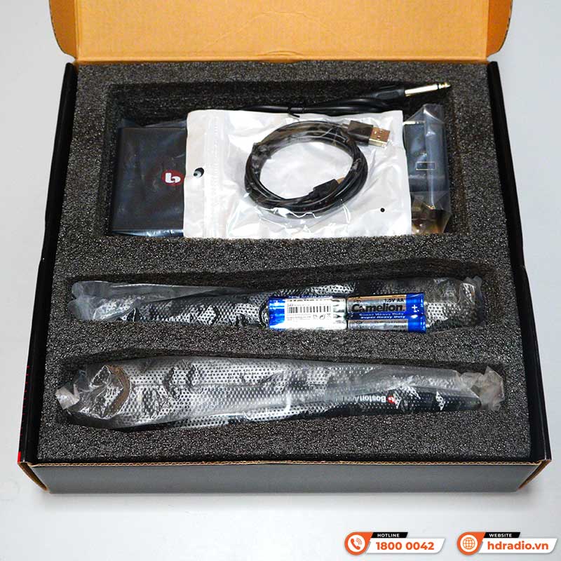 Micro Boston WMS210, Tích hợp Echo-3