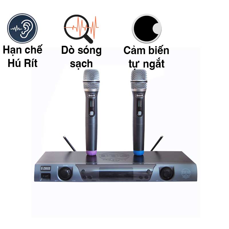 Micro không dây BBS E-250GS