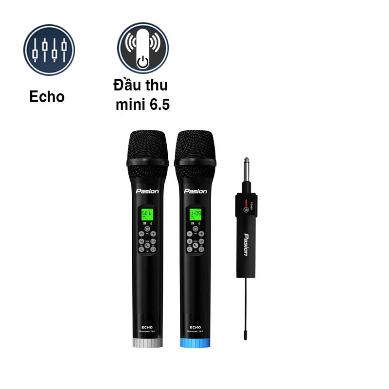Micro không dây Paramax Pasion Echo