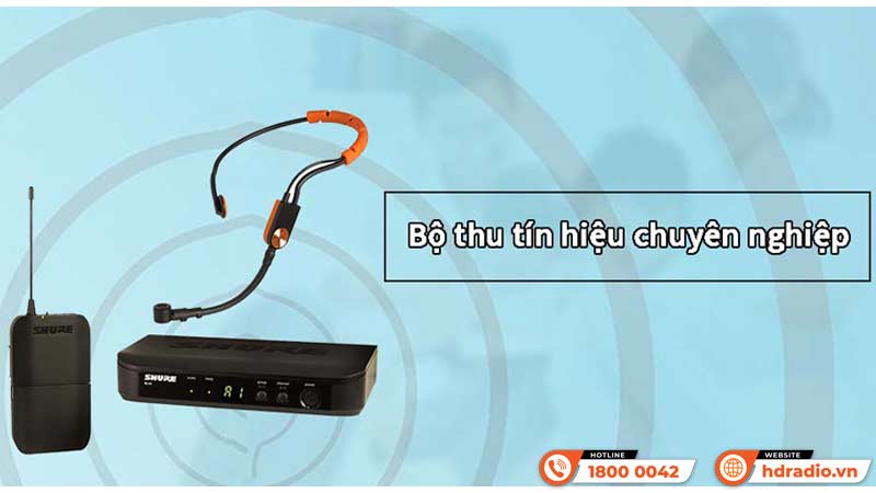 Ứng dụng Micro Shure BLX14A/SM31