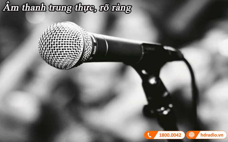 micro co day shure sm58s