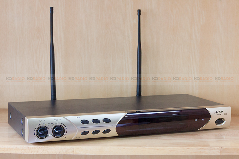 Micro không dây AAP K66