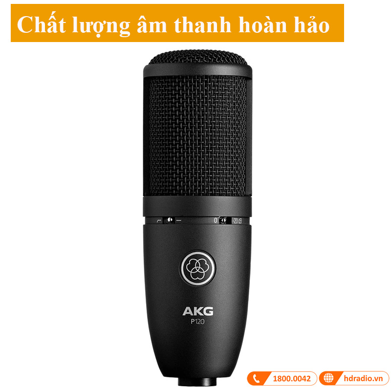 Micro AKG P120
