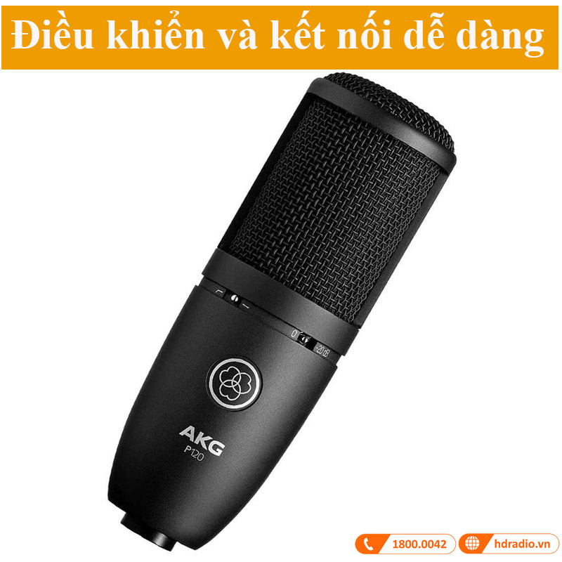 Micro AKG P120