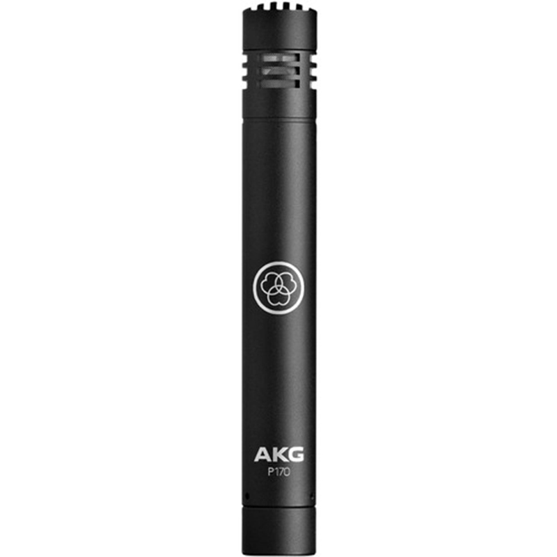 Micro AKG P170