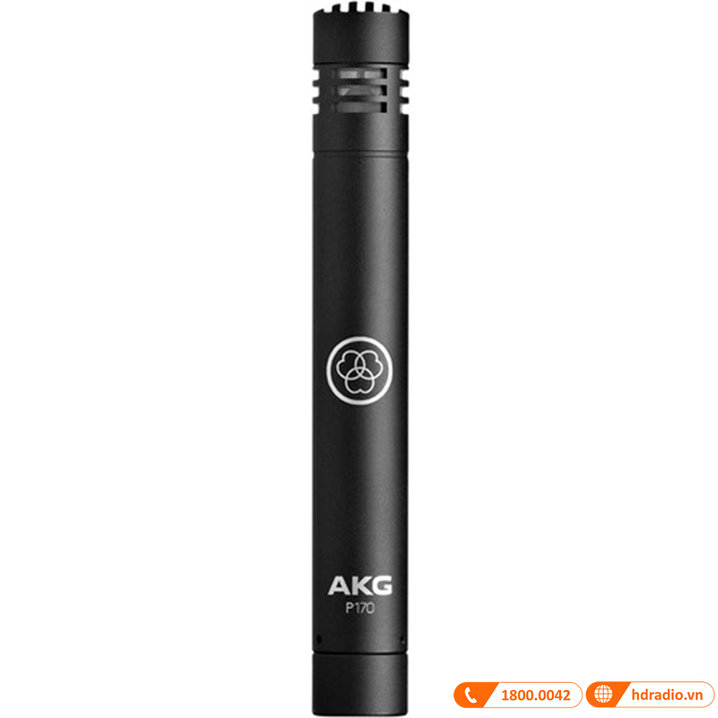 Micro AKG P170