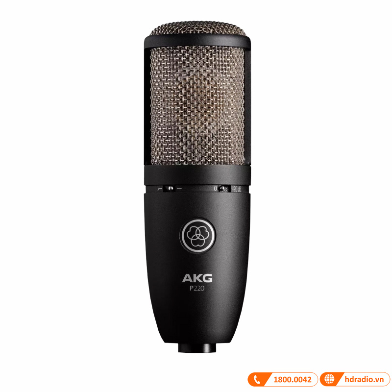 Micro AKG P220
