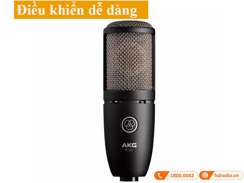 Micro AKG P220