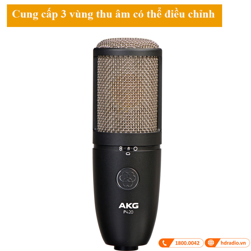 Micro AKG P420