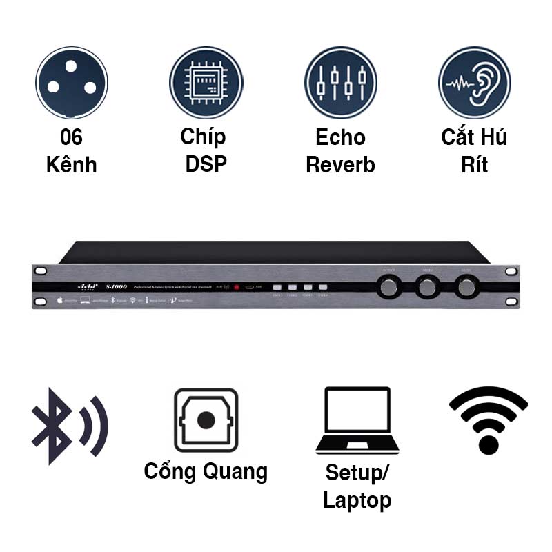 Vang Số AAP S1000, Chống Hú Rít, 6CH