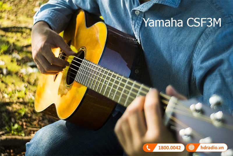 Dan guitar Yamaha CSF3M