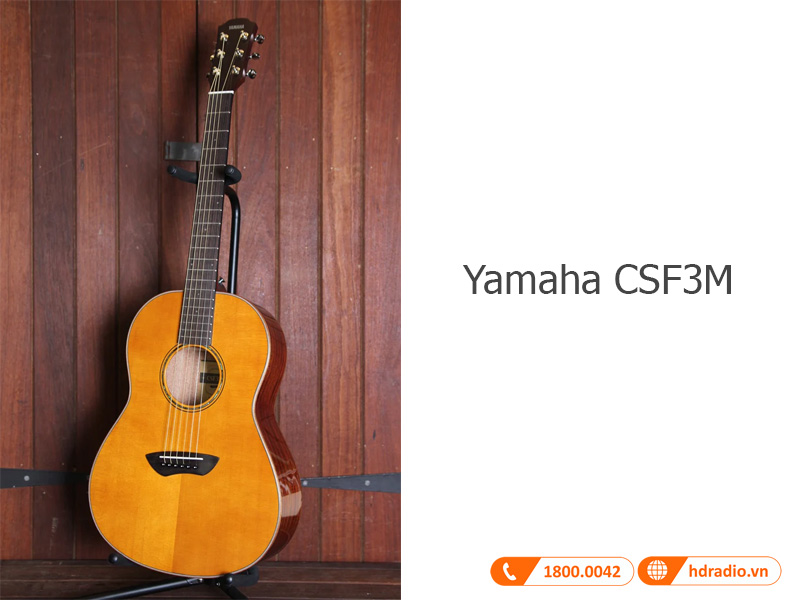 Dan guitar Yamaha CSF3M
