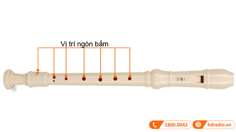 Sáo tiêu Yamaha YRS-23