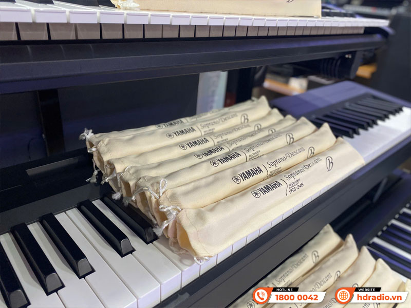 Sáo Tiêu Yamaha YRS-24B-5