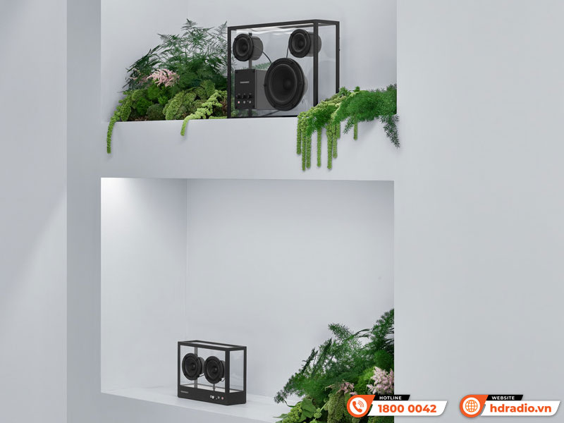 Multi-room Module Wifi Transparent