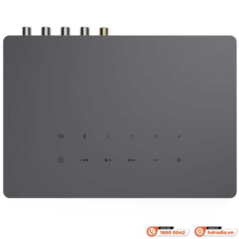 Thiết bị đa vùng AudioPro Link 2