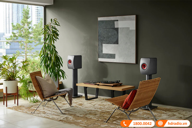 kieu dang hien dai va trang nha