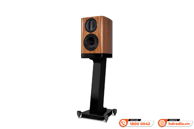 Chân Loa Wharfedale Aura 1 