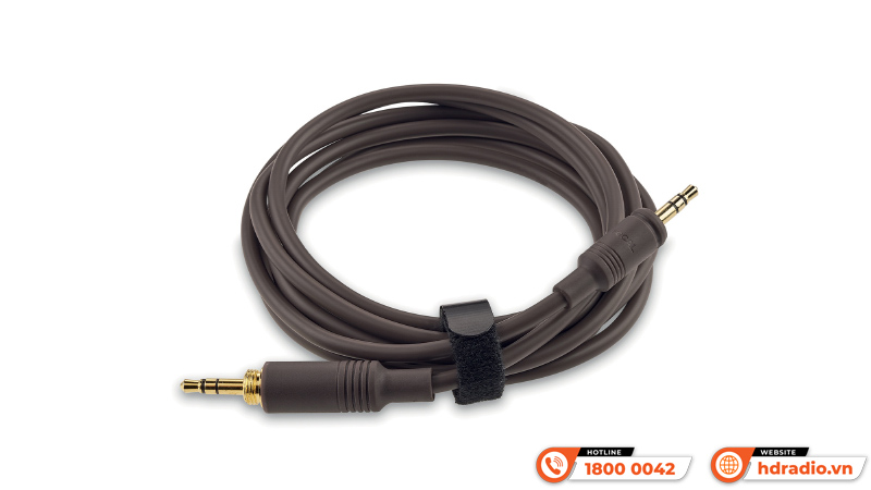 Tai nghe Focal Hadenys