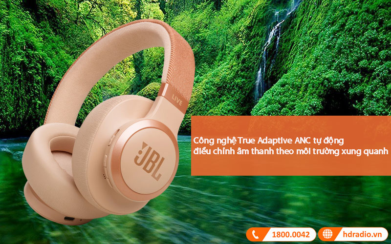 Âm JBL Tai nghe JBL Live 770NC
