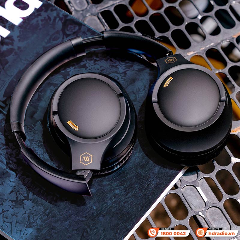 Tai nghe Alpha Works FLEX 680