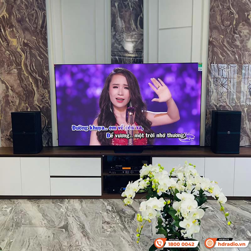 Dàn Karaoke Cao Cấp HDR67 (Wharfedale Wh10, Công suất H2600, X6000 Plus, Micro JKaudio B9)-15
