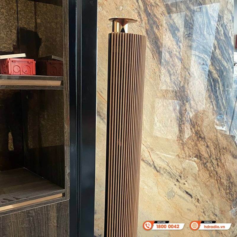 Loa B&O Beolab 18 Chính Hãng, Công Suất 320W/ chiếc, Bluetooth, Wifi, Optical, RCA, Kết nối đa phòng (Cặp loa đứng Hi-End)-18