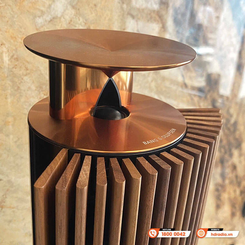 Loa B&O Beolab 18 Chính Hãng, Công Suất 320W/ chiếc, Bluetooth, Wifi, Optical, RCA, Kết nối đa phòng (Cặp loa đứng Hi-End)-20