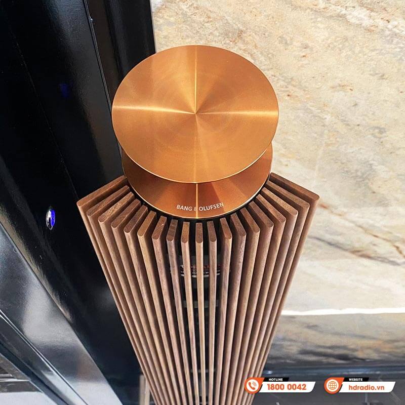 Loa B&O Beolab 18 Chính Hãng, Công Suất 320W/ chiếc, Bluetooth, Wifi, Optical, RCA, Kết nối đa phòng (Cặp loa đứng Hi-End)-19