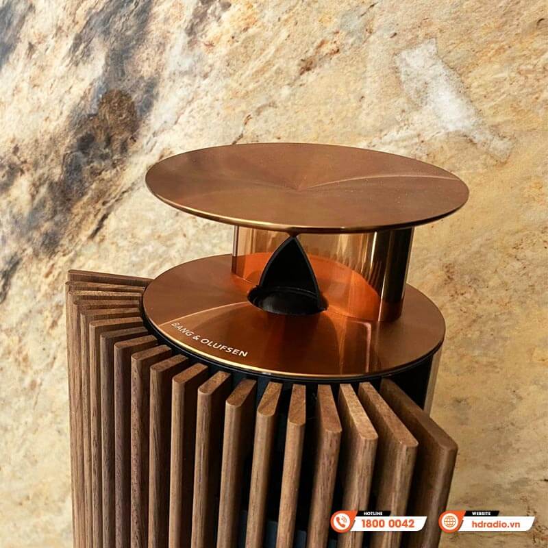 Loa B&O Beolab 18 Chính Hãng, Công Suất 320W/ chiếc, Bluetooth, Wifi, Optical, RCA, Kết nối đa phòng (Cặp loa đứng Hi-End)-21